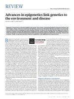 Advances in epigenetics link genetics to the environment and disease