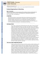 Cultural Approaches to Parenting